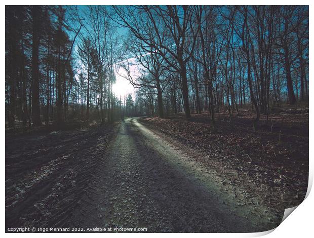 Dark rural road in a forest Print by Ingo Menhard