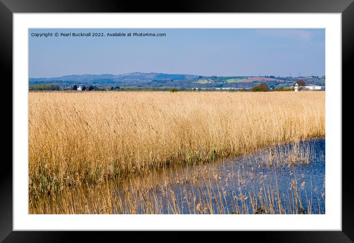 Newport Wetlands Nature Reserve Gwent Levels Wales Framed Mounted Print by Pearl Bucknall