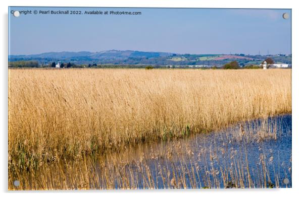 Newport Wetlands Nature Reserve Gwent Levels Wales Acrylic by Pearl Bucknall