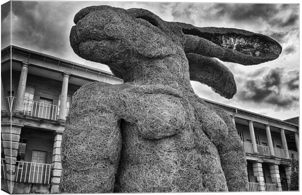 Lady Hare Torso - At the Piece Hall, Halifax Canvas Print by Glen Allen