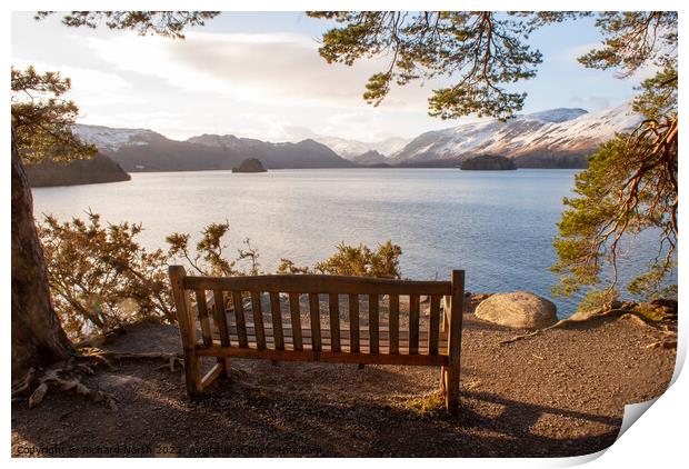 Serene Beauty of Lake District Print by Richard North