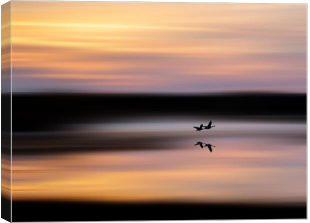 Geese in flight at sunrise Canvas Print by TheOther Kev