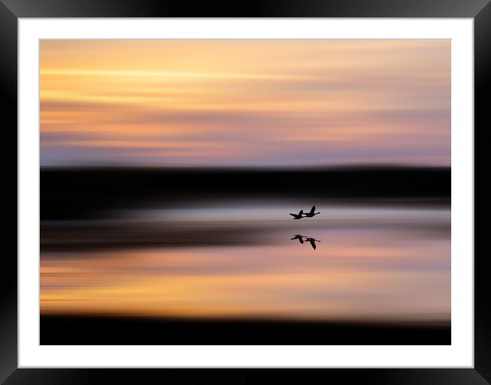 Geese in flight at sunrise Framed Mounted Print by TheOther Kev