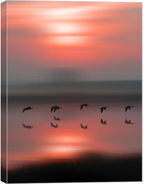 Birds in flight at sunrise Canvas Print by TheOther Kev