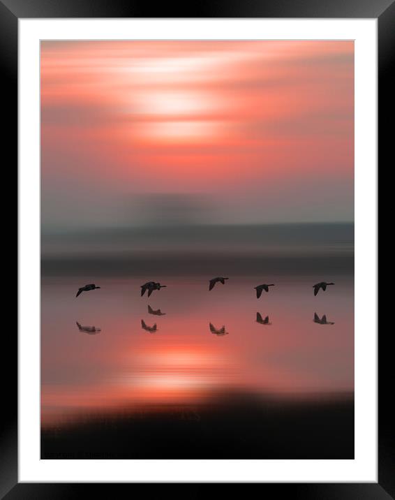 Birds in flight at sunrise Framed Mounted Print by TheOther Kev