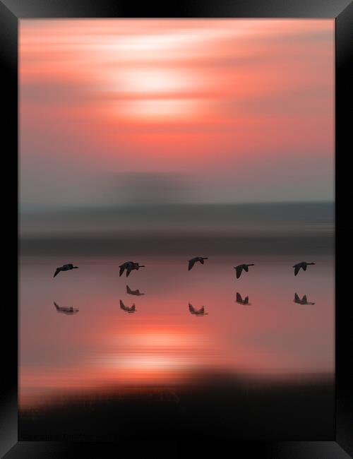 Birds in flight at sunrise Framed Print by TheOther Kev