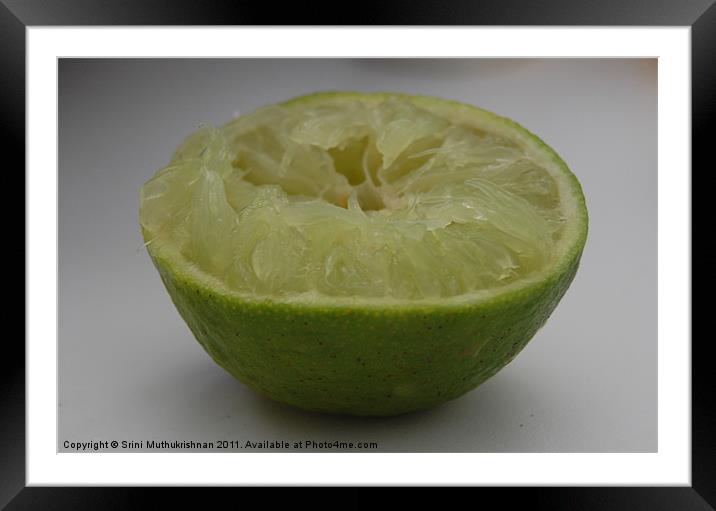 Squeezed Lime Framed Mounted Print by Wood Stocker