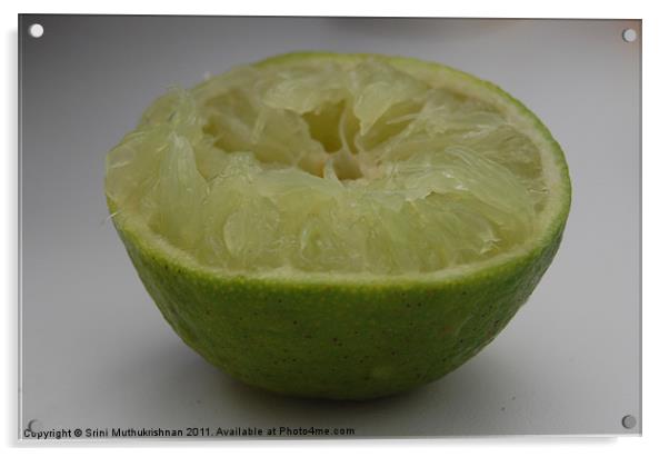 Squeezed Lime Acrylic by Wood Stocker