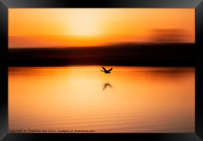 bird flying over a lake in an orange sunrise Framed Print by TheOther Kev