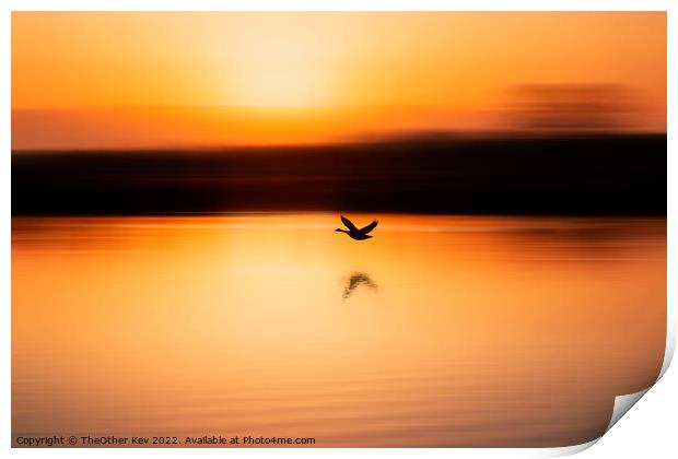 bird flying over a lake in an orange sunrise Print by TheOther Kev