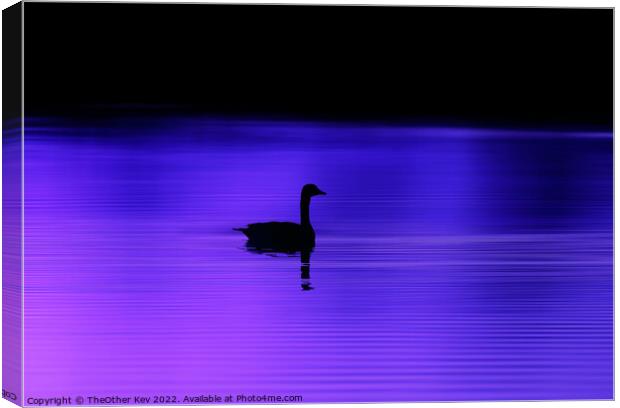 Bird silhouette on a purple lake  Canvas Print by TheOther Kev