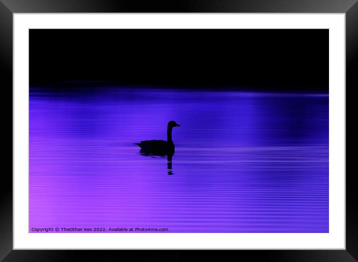 Bird silhouette on a purple lake  Framed Mounted Print by TheOther Kev