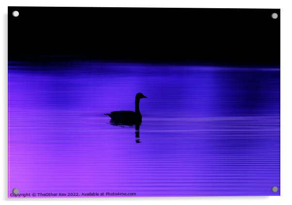 Bird silhouette on a purple lake  Acrylic by TheOther Kev