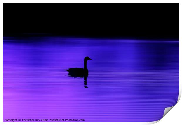 Bird silhouette on a purple lake  Print by TheOther Kev