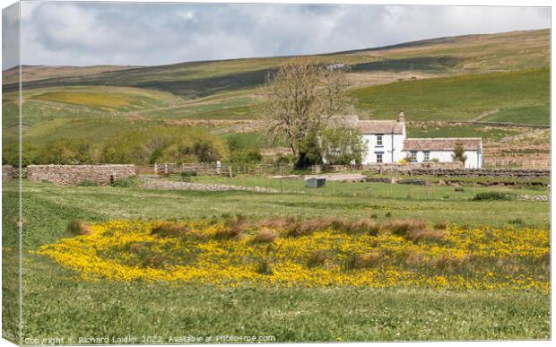 Low End Farm, Harwood, Teesdale Canvas Print by Richard Laidler