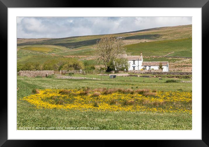 Low End Farm, Harwood, Teesdale Framed Mounted Print by Richard Laidler