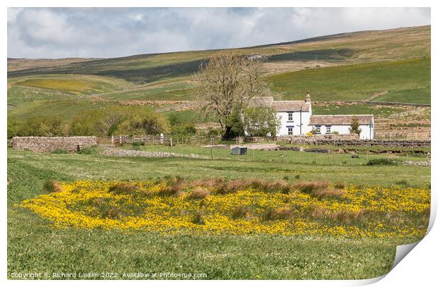 Low End Farm, Harwood, Teesdale Print by Richard Laidler