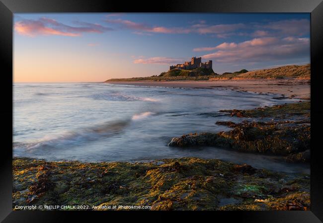 Sunrise glow over Bamburgh castle on the Northumbe Framed Print by PHILIP CHALK