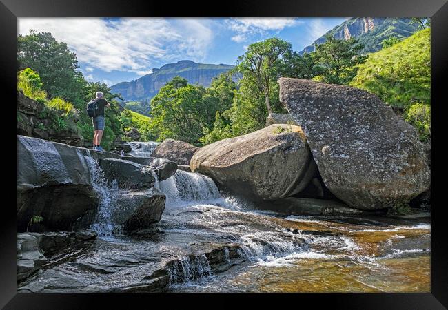 Royal Natal National Park, KwaZulu-Natal Framed Print by Arterra 