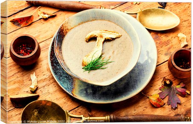 Delicious mushroom soup Canvas Print by Mykola Lunov Mykola