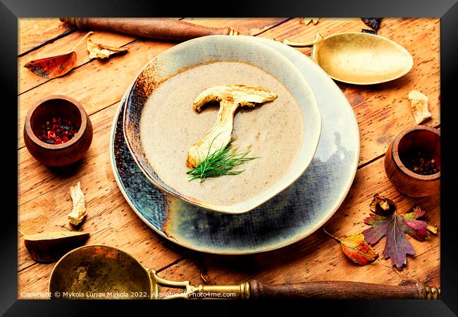 Delicious mushroom soup Framed Print by Mykola Lunov Mykola