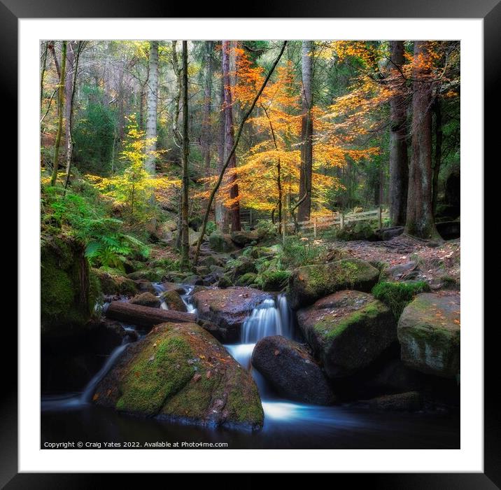 Autumn in Wyming Brook Nature Reserve. Framed Mounted Print by Craig Yates
