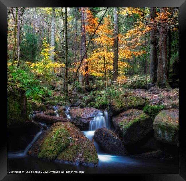 Autumn in Wyming Brook Nature Reserve. Framed Print by Craig Yates