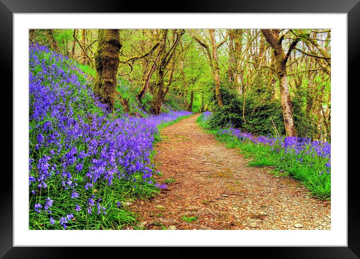 Ashcombe Woods Bluebells Exmoor Somerset Framed Mounted Print by austin APPLEBY