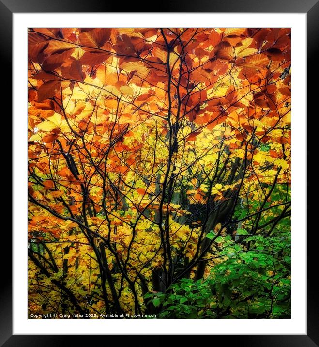 Colours Of Autumn Framed Mounted Print by Craig Yates