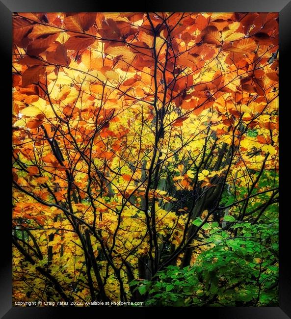 Colours Of Autumn Framed Print by Craig Yates