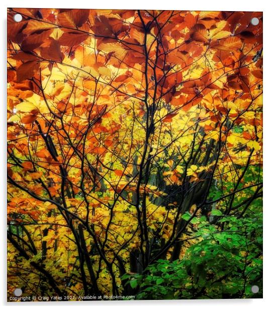 Colours Of Autumn Acrylic by Craig Yates