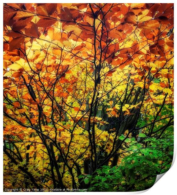 Colours Of Autumn Print by Craig Yates