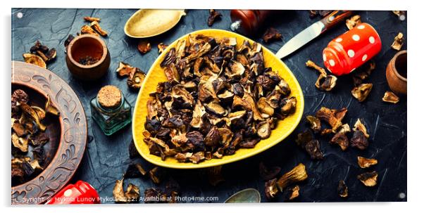 Dried mushrooms and cooking utensils Acrylic by Mykola Lunov Mykola