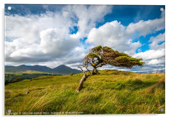 Lone tree  coniston  fells. Acrylic by John Henderson