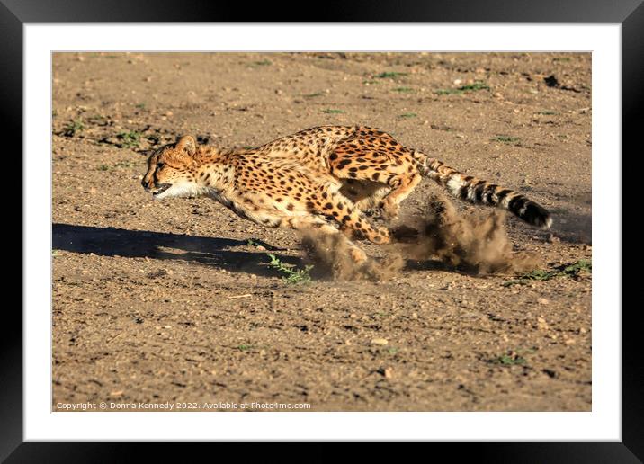 The Chase Framed Mounted Print by Donna Kennedy