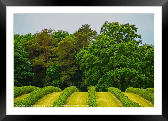 Over the Hill Framed Mounted Print by GJS Photography Artist