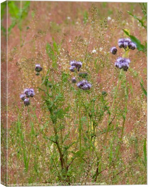 Wild Flowers  Canvas Print by GJS Photography Artist