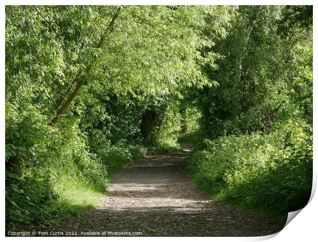 Path alongside River Dearne Print by Tom Curtis