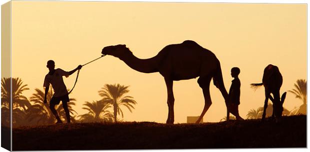 Nile Silhouette Canvas Print by Ian Collins