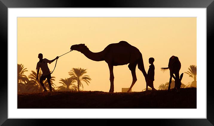 Nile Silhouette Framed Mounted Print by Ian Collins