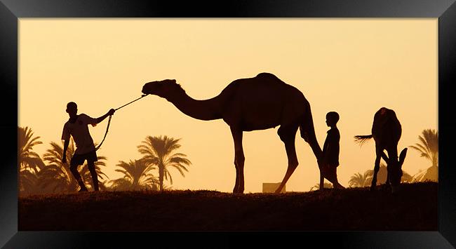 Nile Silhouette Framed Print by Ian Collins