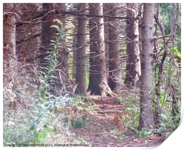 Forest trees Print by Stephanie Moore