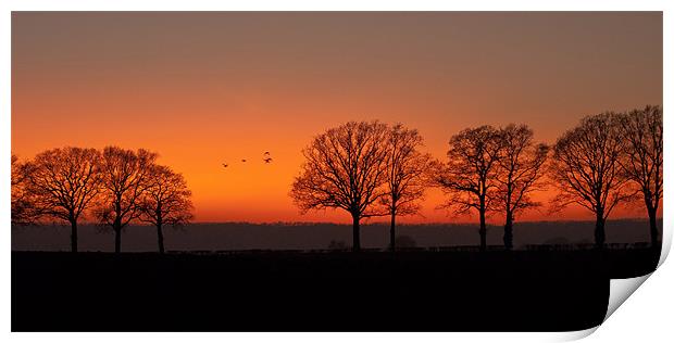 Sunset Little Marcle Print by Ian Collins