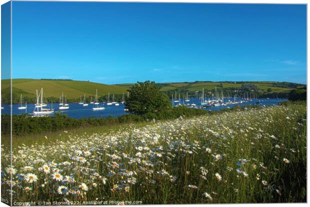 The kingsbridge and Salcombe estuary  Canvas Print by Ian Stone