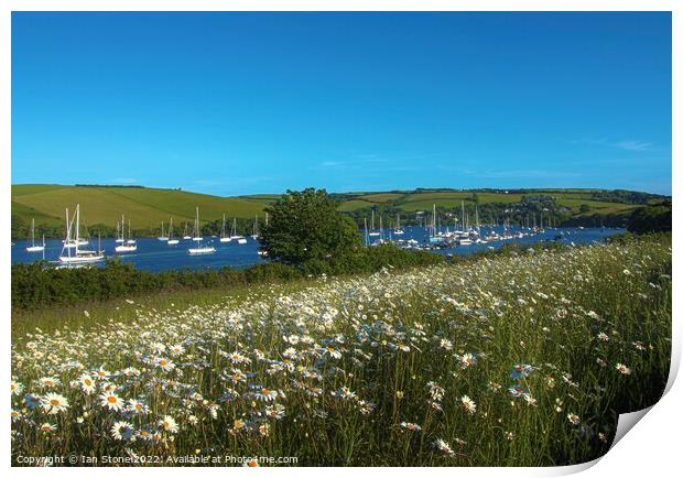 The kingsbridge and Salcombe estuary  Print by Ian Stone