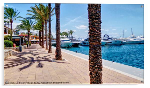 Puerto Portals Marina Mallorca  Acrylic by Peter F Hunt