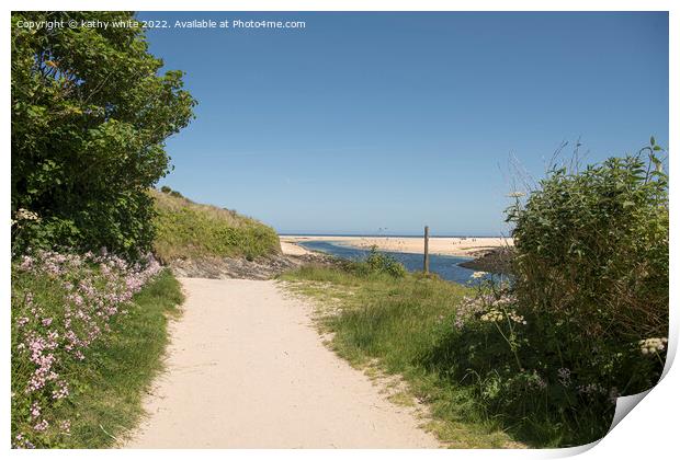 Path way to Hayle Beach Cornwall Print by kathy white