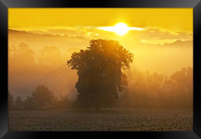 Eastnor Sunrise Framed Print by Ian Collins