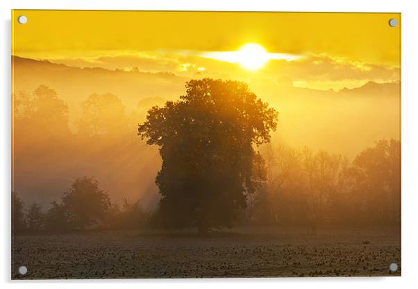 Eastnor Sunrise Acrylic by Ian Collins