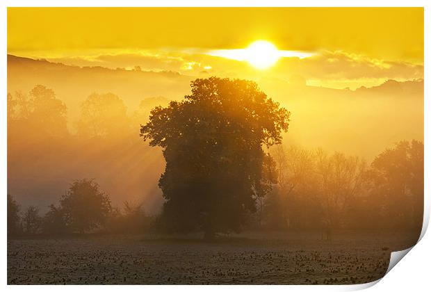 Eastnor Sunrise Print by Ian Collins